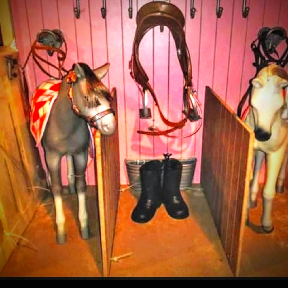 2 MY GENERATION FEMALE FOALS